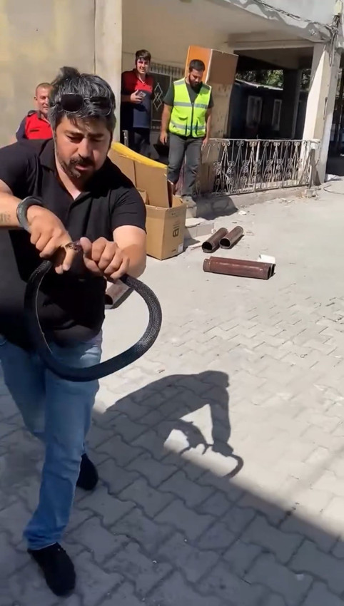 Türkiye'nin yılan avcısı Yılancı Kemal'i bir kez daha yılan ısırdı - Resim: 1