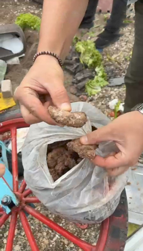 Taraftar ölümden döndü: Tükürük köftesinde mide bulandıran skandala suçüstü - Resim: 1