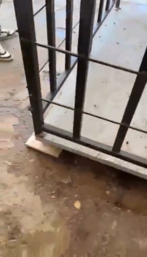 Kurbanlık pazarında akıllara durgunluk veren hile - Resim: 4