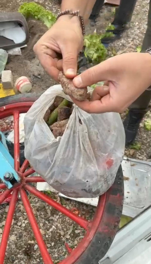 Taraftar ölümden döndü: Tükürük köftesinde mide bulandıran skandala suçüstü - Resim: 2