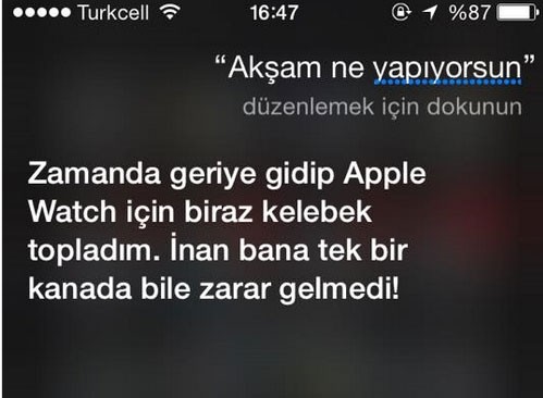 Türklerin Siri ile imtihanı - Resim: 2