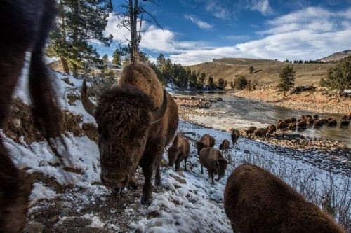 National Geographic'in Instagram hesabından muhteşem kareler - Resim: 2