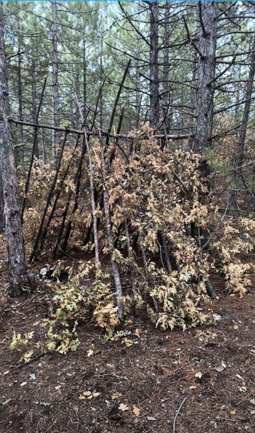 5 gündür kayıp olarak aranan çocuk ölü bulundu; arkasında bu mektubu bırakmış - Resim: 4