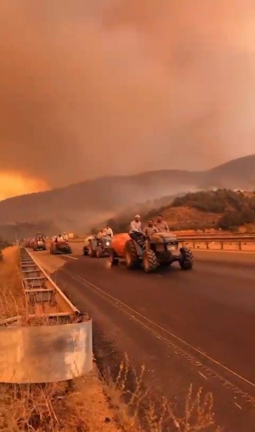 Orman yangınlarıyla mücadelede alevlerin üzerine cepheye gider gibi gittiler - Resim: 2