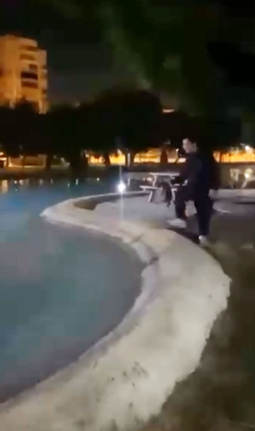 Vicdansızlar, sokak kedisini defalarca süs havuzuna attılar - Resim: 1