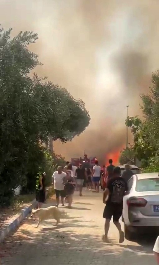 İzmir'de yanan araç ormanı yaktı - Resim: 1
