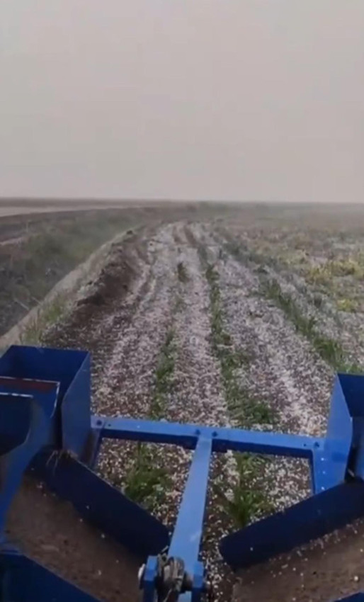Adana'da tarım arazilerini dolu vurdu - Resim: 3
