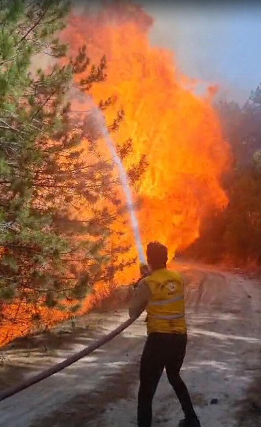 Aydın'da ormanlık alanda korkutan yangın - Resim: 1