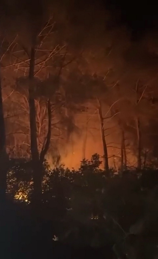 Çanakkale Bayramiç'te büyük orman yangını - Resim: 3