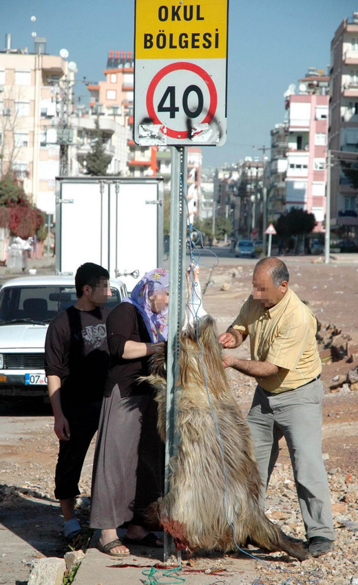 Sokakta kurban kesip, atıklarını gömenlere ve hayvanlara eziyet edenlere kesilecek ceza belli oldu - Resim: 4