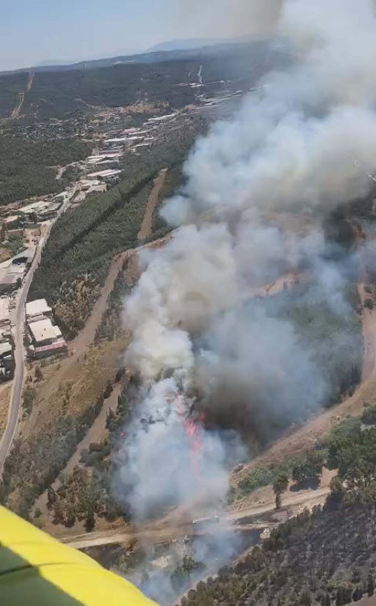 İzmir'de otluk alanda çıkan yangın ormana sıçradı - Resim: 2