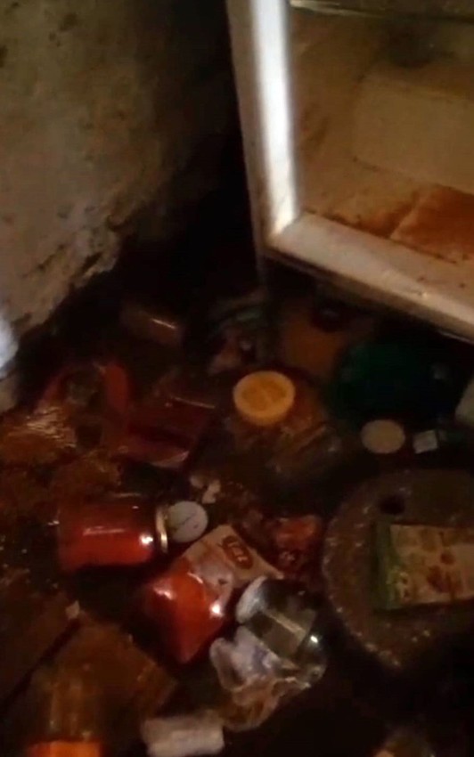 Karadenizli vatandaşın ayıya sitemi kahkahaya boğdu - Resim: 2
