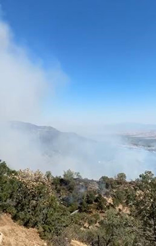 Denizli'de orman yangını - Resim: 4