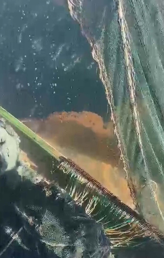 Masmavi cennetlerimizi cehenneme çeviren mide bulandıran kabus geri döndü! - Resim: 2