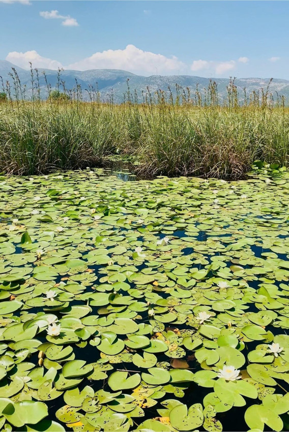 Türkiye'nin gizli cenneti olan bu göl sportif olta balıkçılığına açıldı - Resim: 2