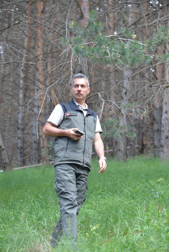 Finlandiya'dan ithal ediliyordu... Artık Doğu'nun ormanlarından üretilecek - Resim: 2