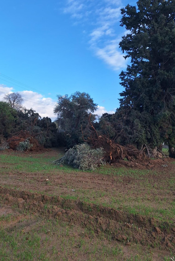 Hortumun yıkıp geçtiği ilçedeki hasar, gün ağarınca ortaya çıktı - Resim: 3