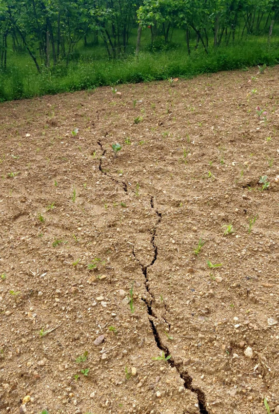 Giresun'da heyelan alarmı: Çok sayıda ev tahliye edildi - Resim: 3