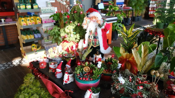 Yeni yılın renkleri ABB Bitki Evleri'nde vatandaşla buluşuyor