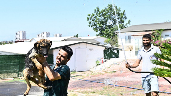 Muratpaşa’dan patili dostlara serin dokunuş