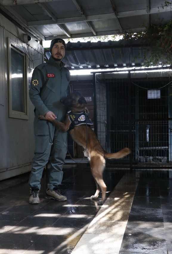 Sahibinin Emniyet'e verdiği Risko hem narkotik köpeği hem de Emniyet'in gururu oldu - Resim: 2