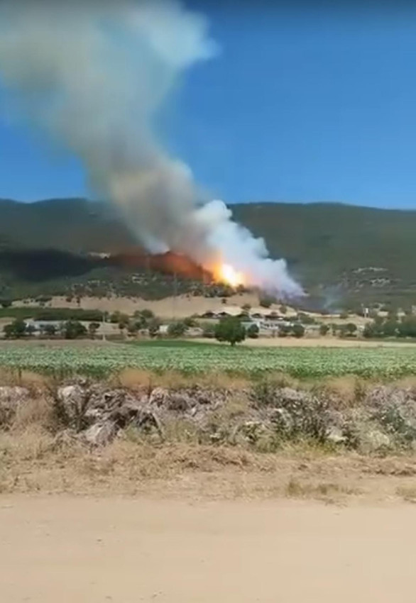 Bursa'da orman yangını! Peş peşe patlama meydana geldi - Resim: 3