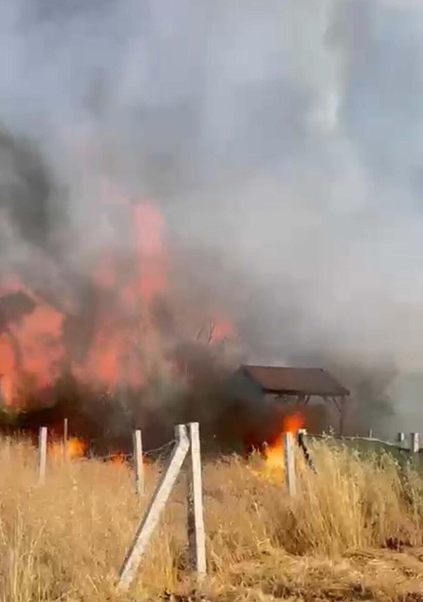 Tarım arazisinde çıkan yangın evlere sıçradı - Resim: 2