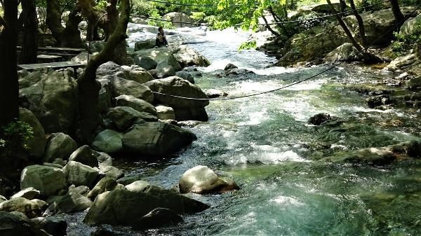 Yangınlar sonrası flaş adım: Ormanlara girişler yasaklandı - Resim: 4