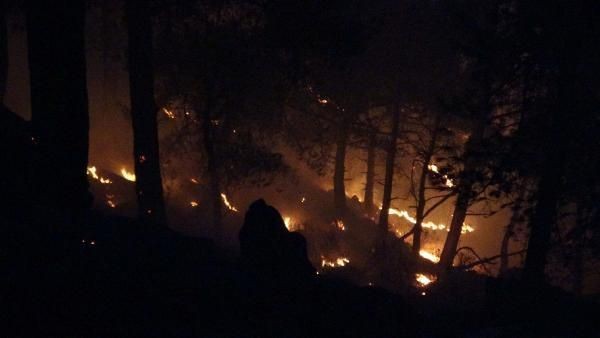 Anamur'da orman yangını - Resim: 3