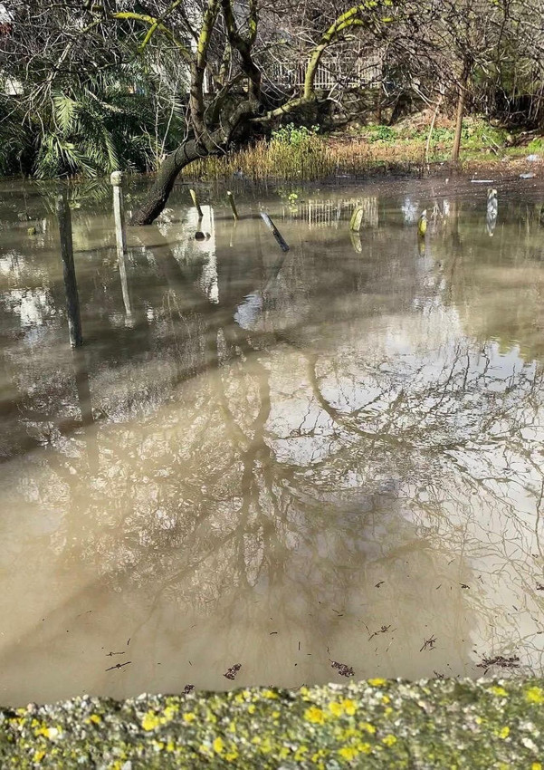 Kuraklığın vurduğu Çeşme şimdi de sular altında kaldı - Resim: 3