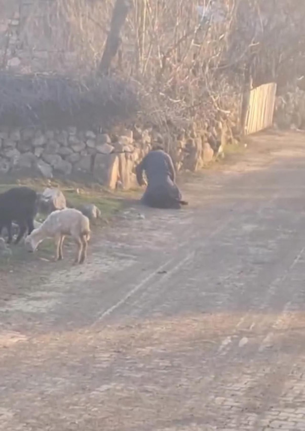 Sosyal medyayı ayağa kaldıran görüntü; gözaltına alındı... - Resim: 2