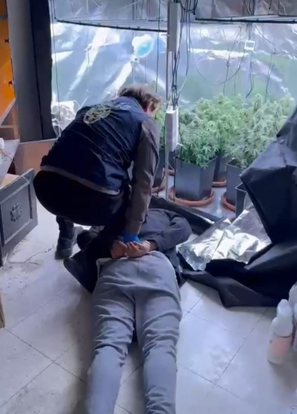 Polisin bastığı ev ''uyuşturucu serası'' çıktı - Resim: 1