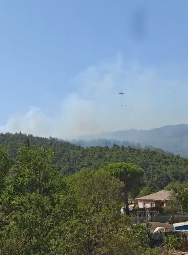 Çanakkale Gelibolu'da orman yangını - Resim: 3