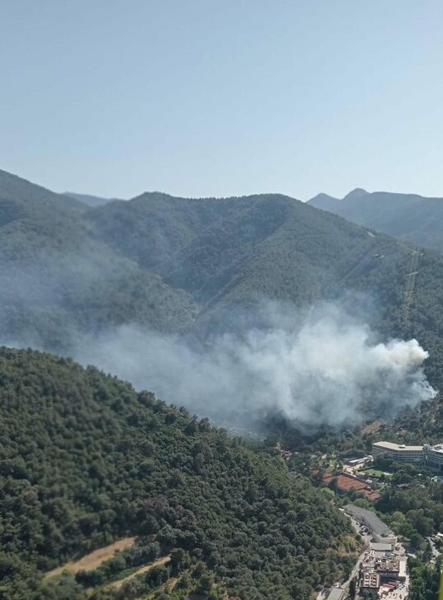 İzmir'de iki noktada orman yangını - Resim: 1