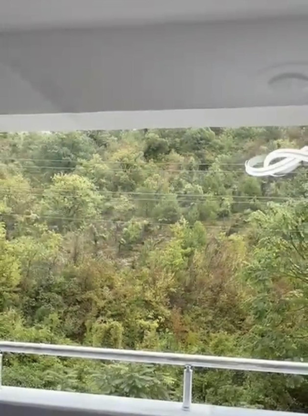 Kent merkezinde şaşırtan görüntü: Kurtlar şehre indi! - Resim: 3