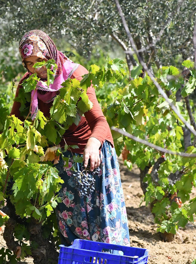 Trakya'nın eşsiz lezzetinin ünü ABD'ye kadar yayıldı... - Resim: 3