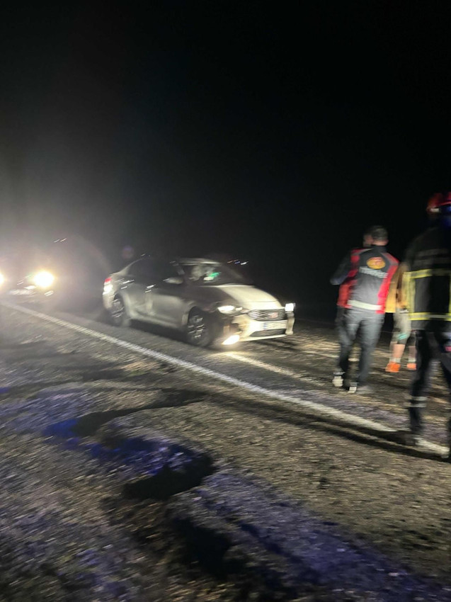Yola çıkan domuz sürüsü kazaya yol açtı: Yaralılar var - Resim: 3