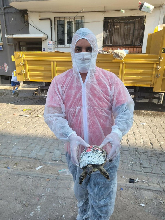 Çöp evden 4 kamyon çöple birlikte çıkanlar kahretti: Kediler, kaplumbağalar... - Resim: 3