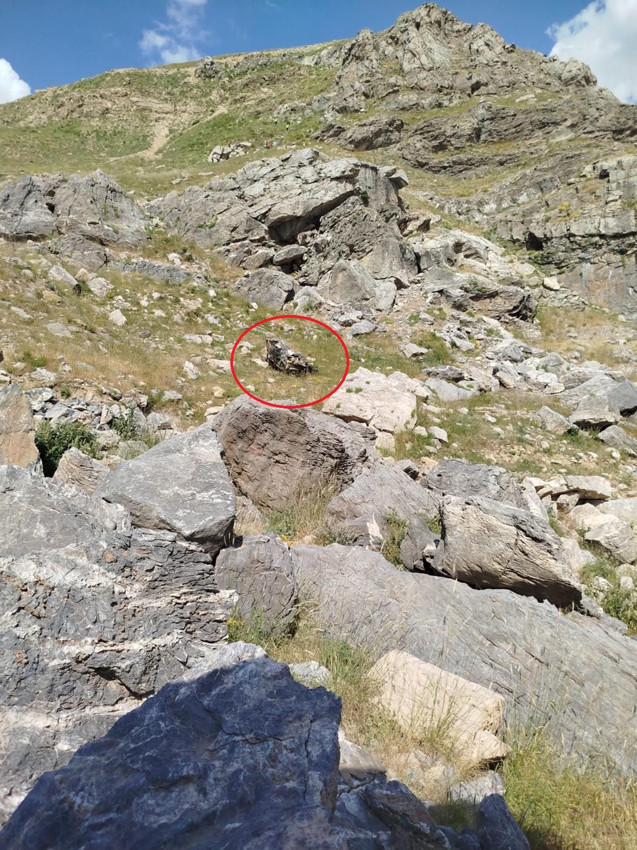 Bilirkişi ekibini taşıyan araç şarampole uçtu: 5 ölü - Resim: 3
