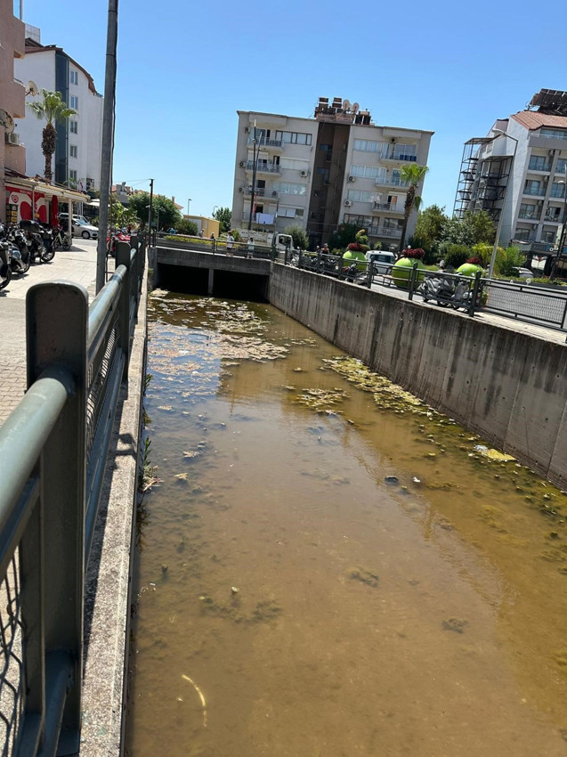 Türkiye'nin tatil cennetinden mide bulandıran görüntü - Resim: 1