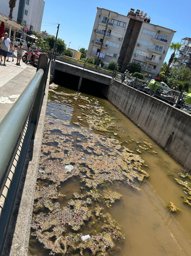 Türkiye'nin tatil cennetinden mide bulandıran görüntü - Resim: 2