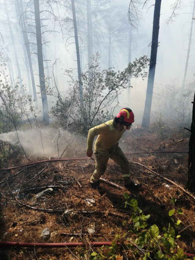 Otoyolda otomobilde çıkan yangın ormana sıçradı - Resim: 3