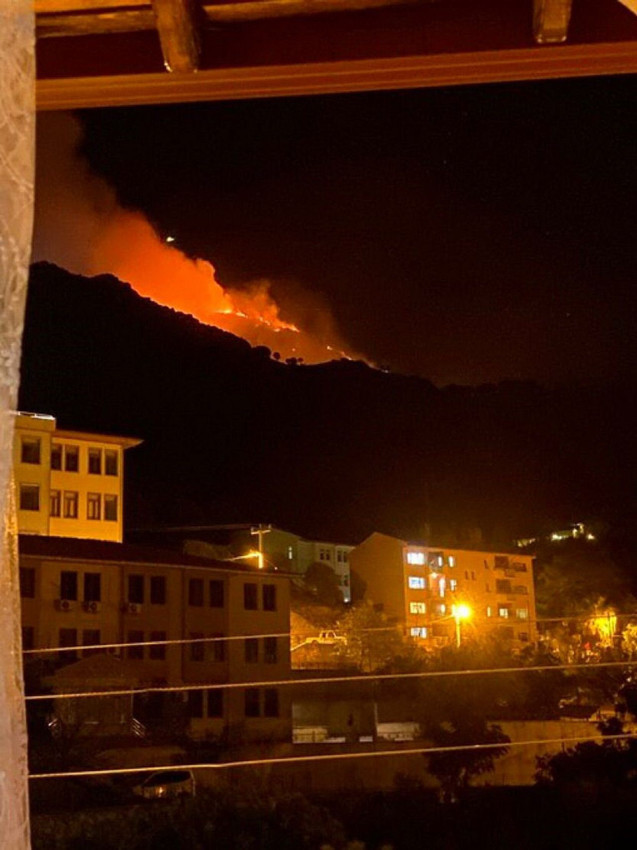 Marmara Adası'nda orman yangını çıktı - Resim: 2