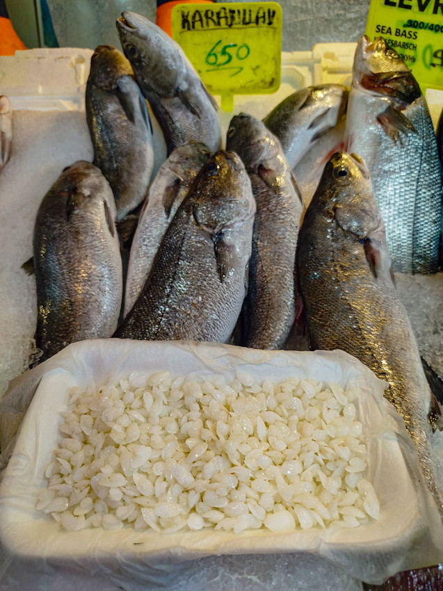 Türkiye'de tezgahları süsleyen bu balığın kilosu 650 TL ama taşıdığı sır tam 10 bin TL! - Resim: 2