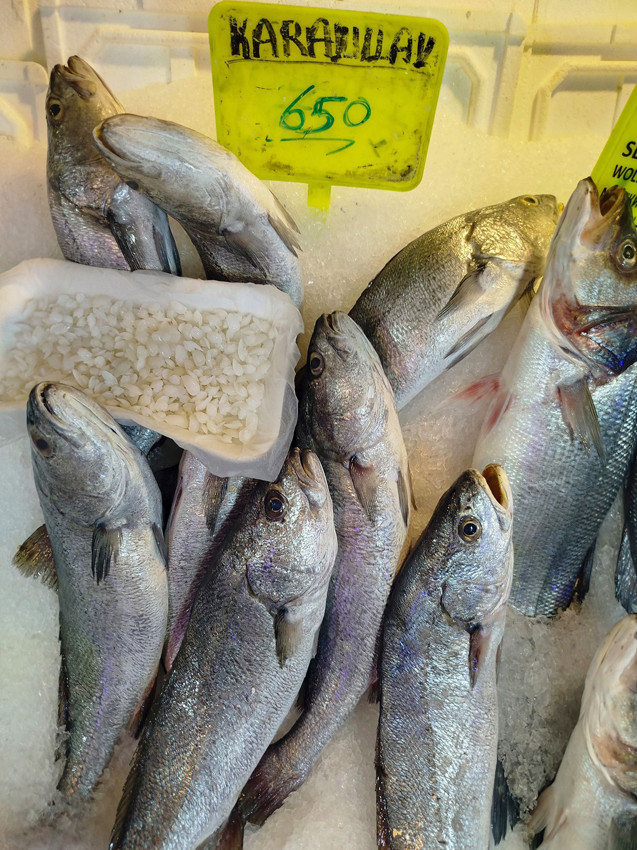 Türkiye'de tezgahları süsleyen bu balığın kilosu 650 TL ama taşıdığı sır tam 10 bin TL! - Resim: 3