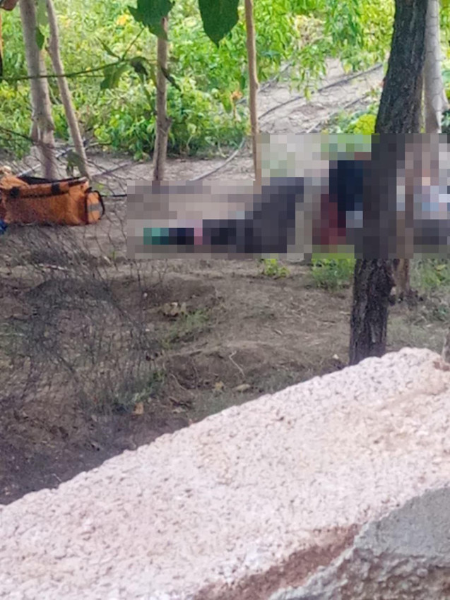 Kırşehir'de aile faciası: Anne ve babasını öldürdü, 2 kuzenini yaraladı - Resim: 2