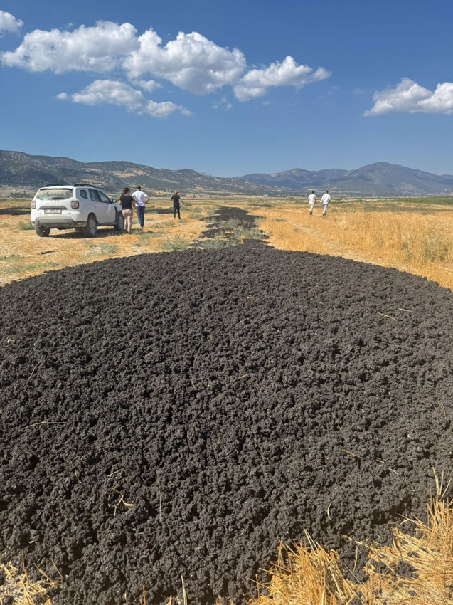 Doğanın katilleri suçüstü yakalandı: Ne yaptıklarına inanamayacaksınız! - Resim: 4