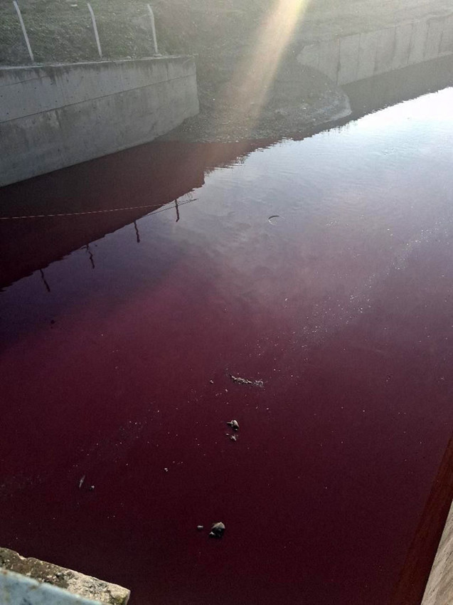 İstanbul'da şehrin ortasındaki derenin rengi kırmızıya döndü - Resim: 1