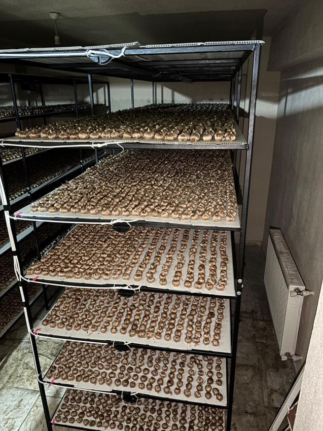 Kariyerini bırakıp hayali olan çiftçiliğe adım attı: Gramı 700 TL'den satılıyor - Resim: 3