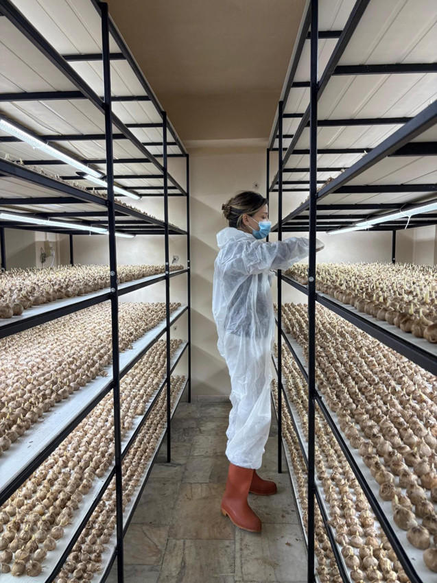 Kariyerini bırakıp hayali olan çiftçiliğe adım attı: Gramı 700 TL'den satılıyor - Resim: 4